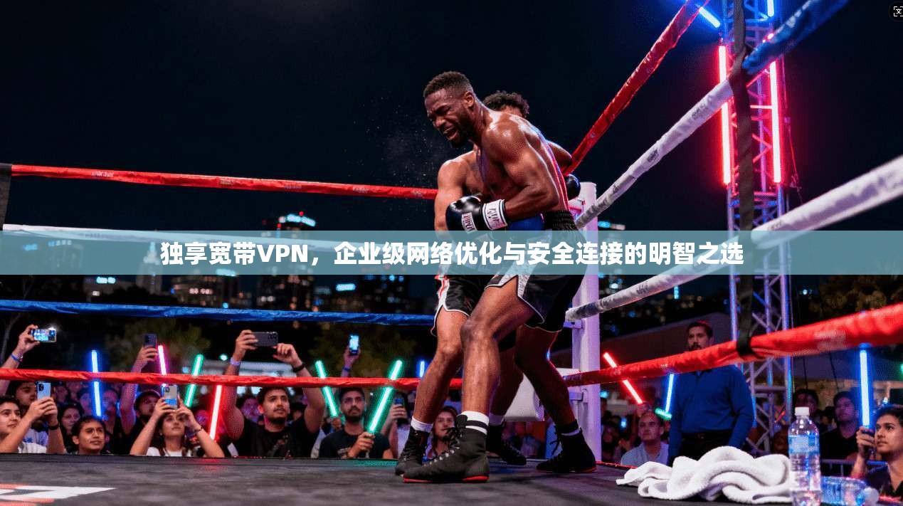 独享宽带VPN，企业级网络优化与安全连接的明智之选
