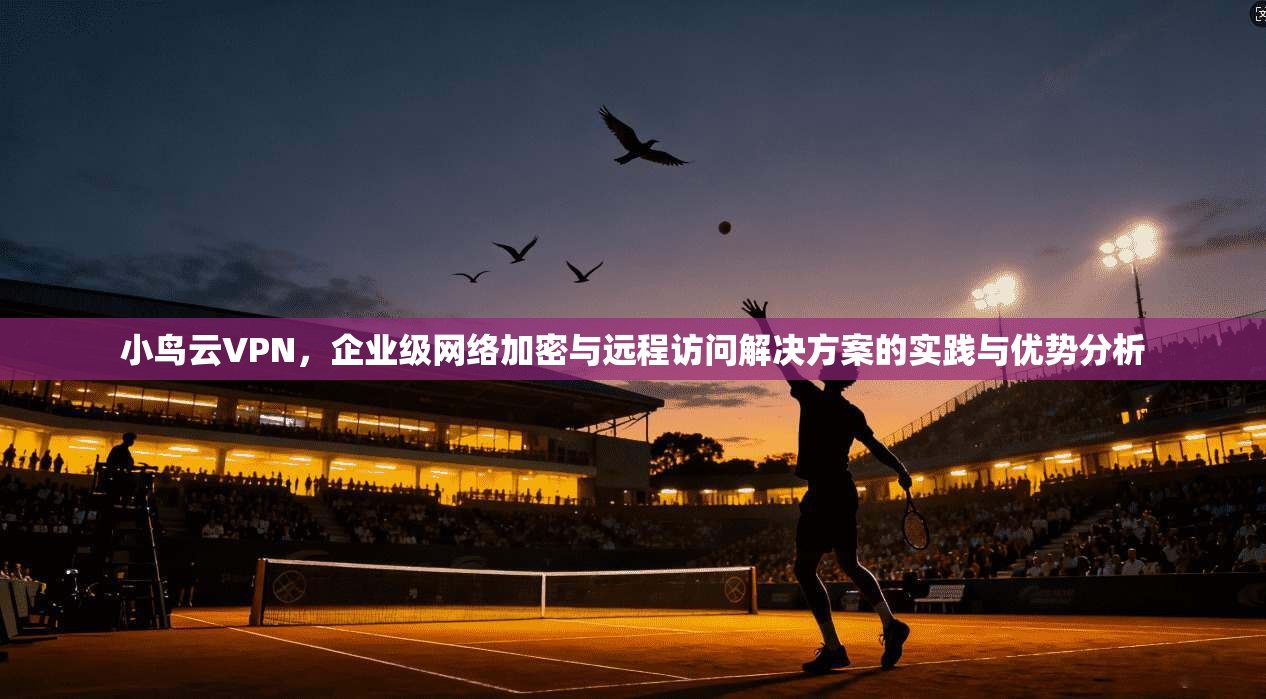 小鸟云VPN，企业级网络加密与远程访问解决方案的实践与优势分析