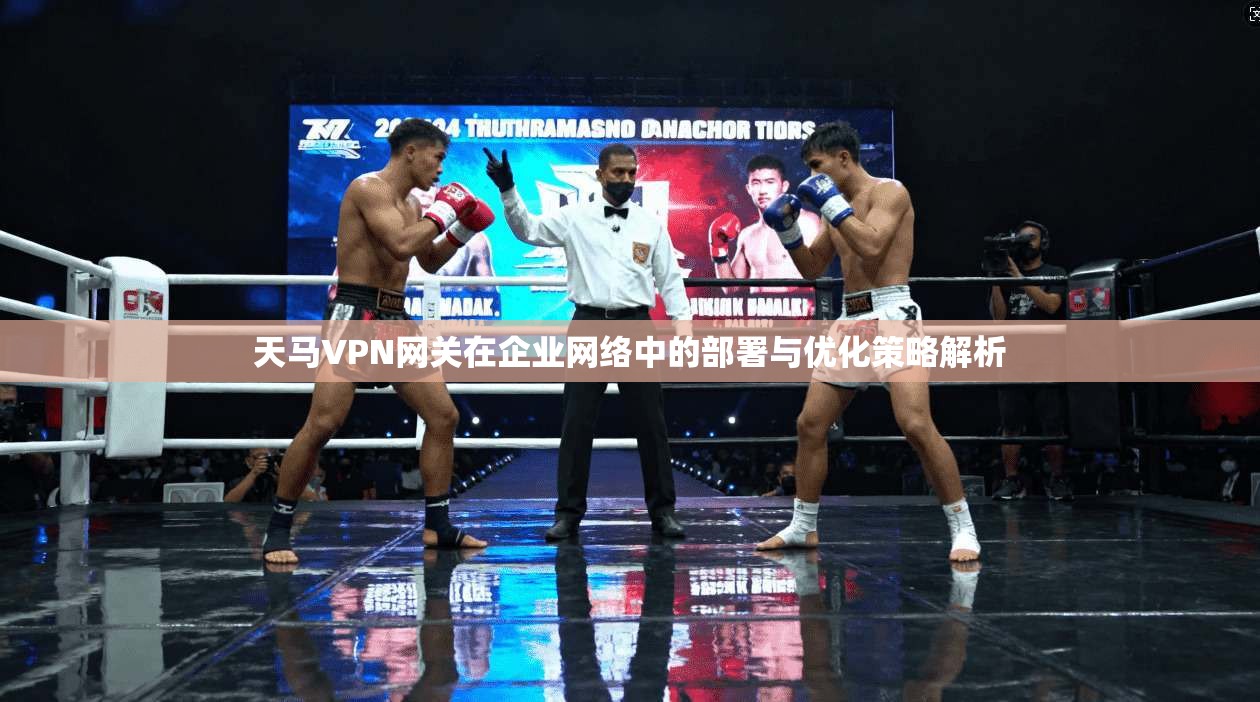 天马VPN网关在企业网络中的部署与优化策略解析