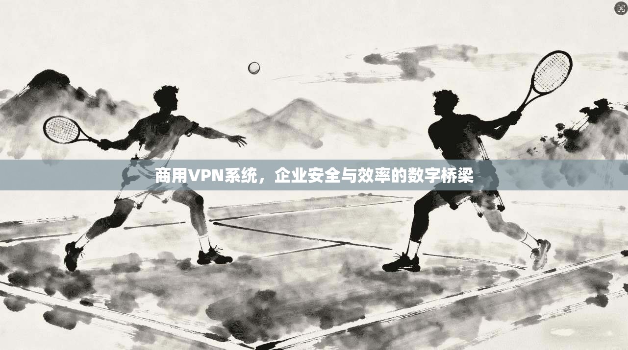 商用VPN系统,企业安全与效率的数字桥梁 商用VPN系统,企业安全与效率的数字桥梁