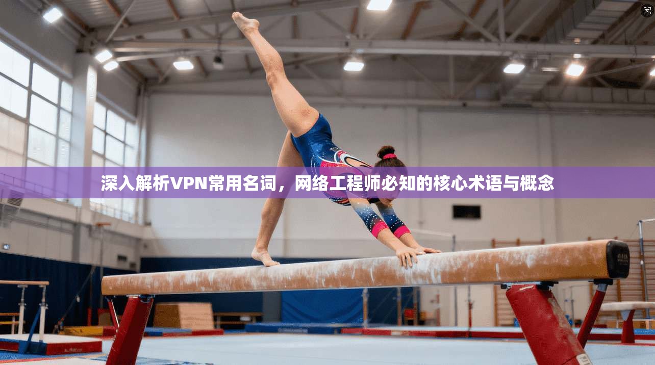 深入解析VPN常用名词，网络工程师必知的核心术语与概念