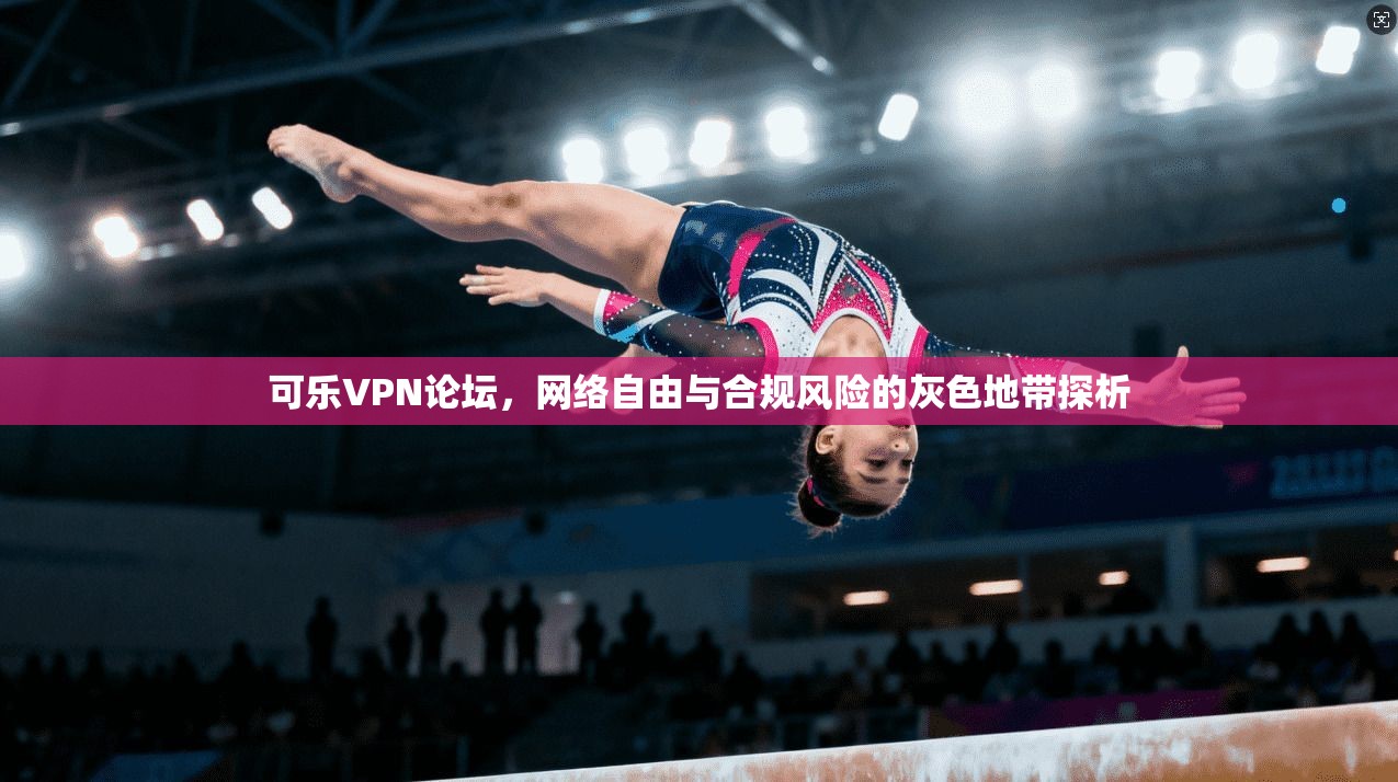 可乐VPN论坛，网络自由与合规风险的灰色地带探析