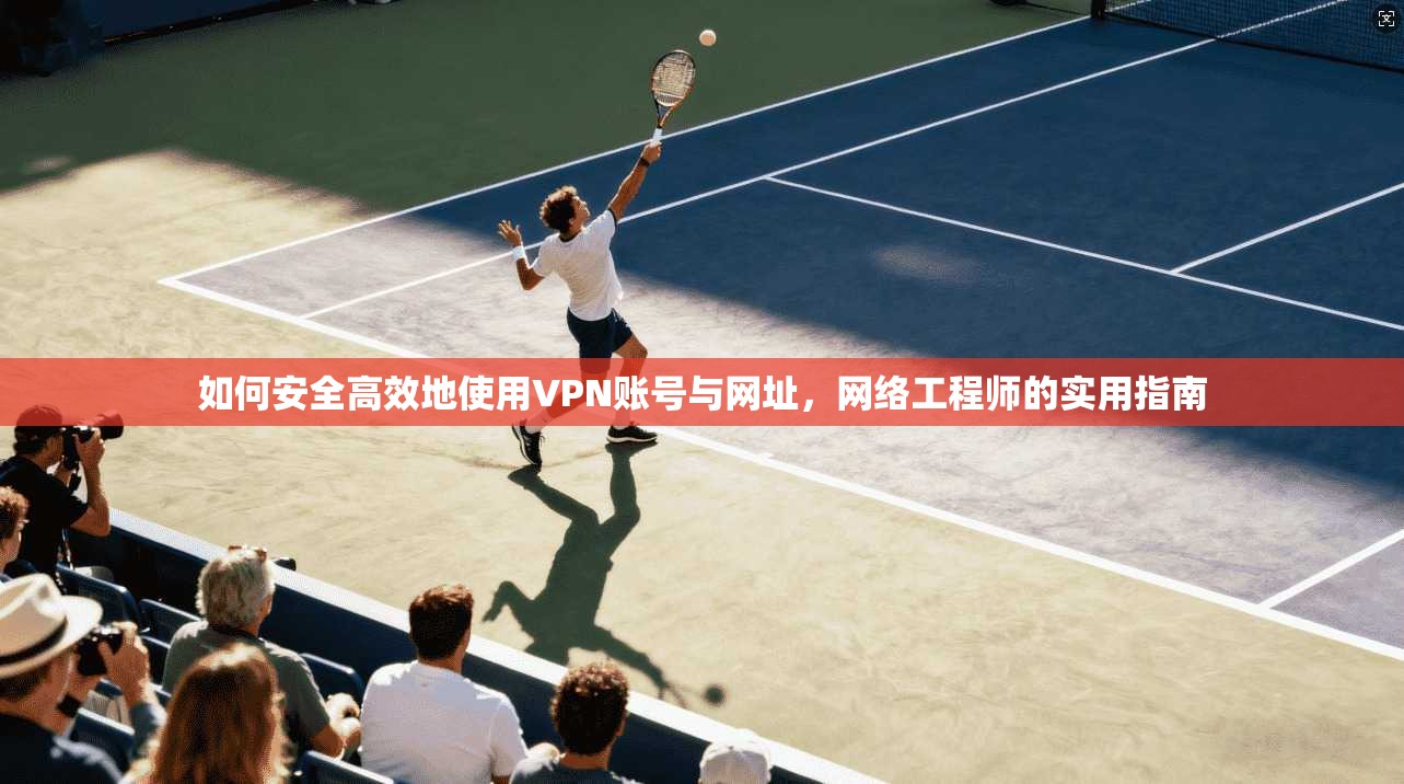 如何安全高效地使用VPN账号与网址，网络工程师的实用指南