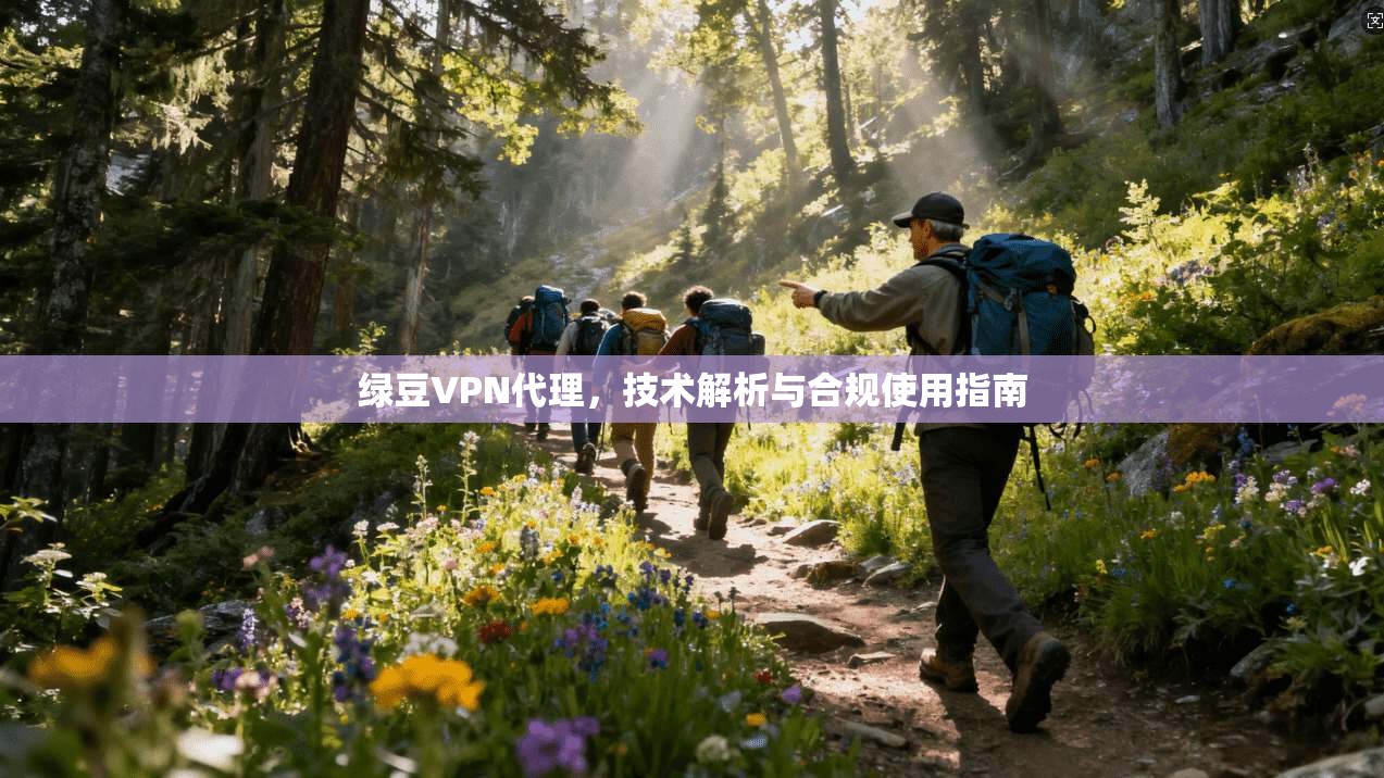 绿豆VPN代理，技术解析与合规使用指南