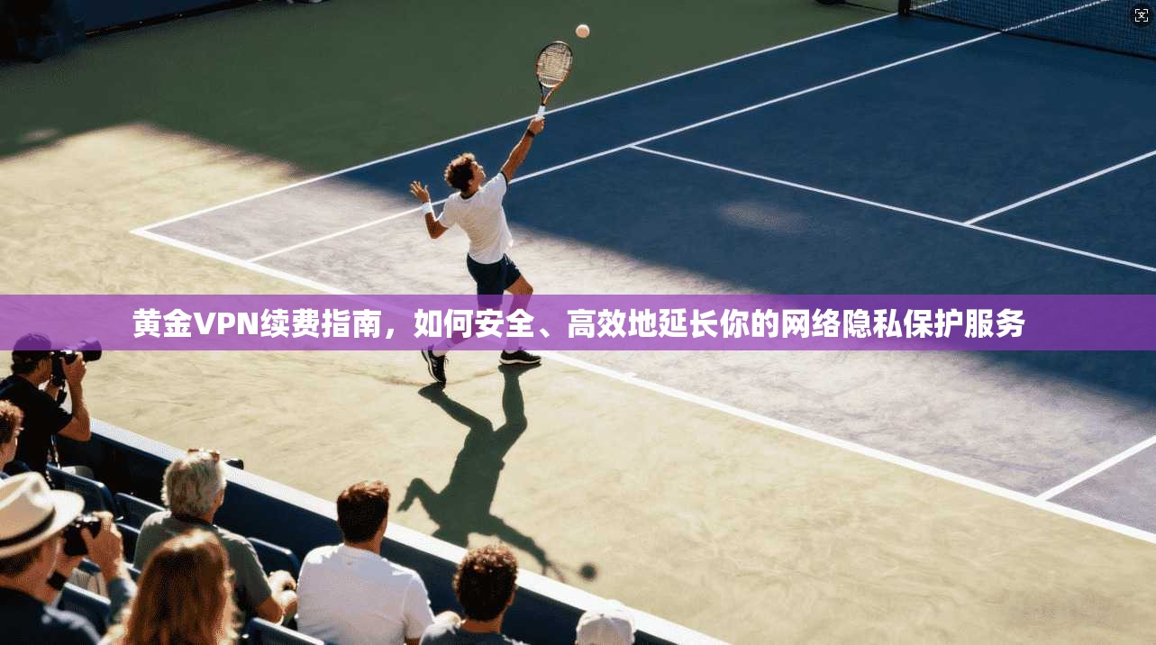 黄金VPN续费指南，如何安全、高效地延长你的网络隐私保护服务