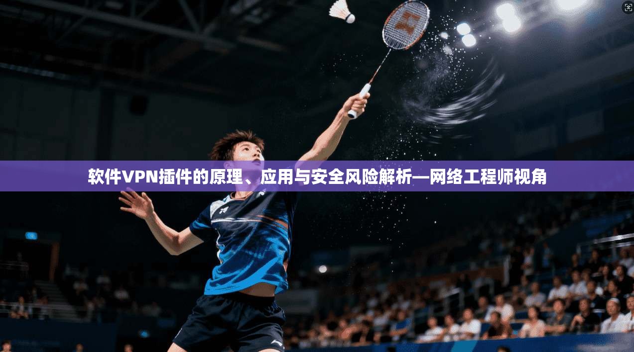 软件VPN插件的原理、应用与安全风险解析—网络工程师视角