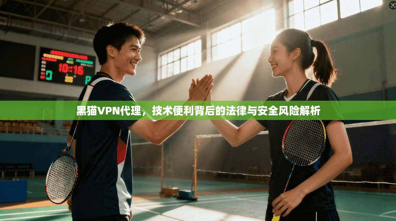 黑猫VPN代理，技术便利背后的法律与安全风险解析