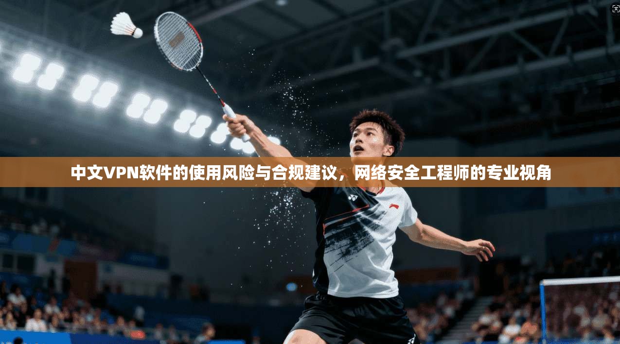 中文VPN软件的使用风险与合规建议，网络安全工程师的专业视角