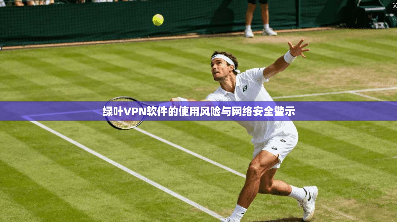 绿叶VPN软件的使用风险与网络安全警示 绿叶VPN软件的使用风险与网络安全警示