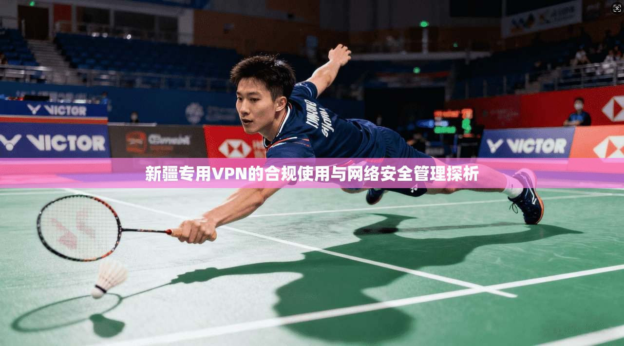 新疆专用VPN的合规使用与网络安全管理探析