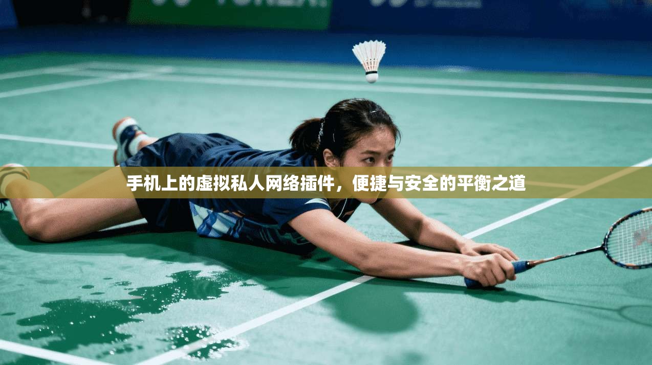 手机上的虚拟私人网络插件，便捷与安全的平衡之道