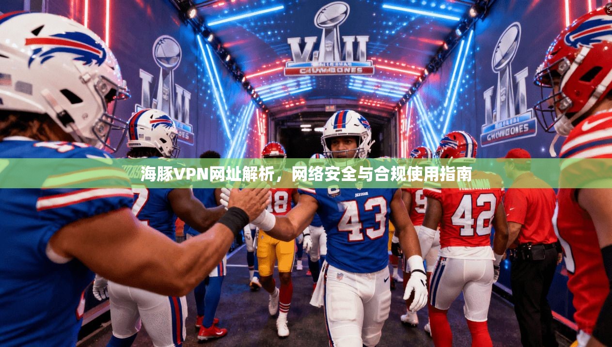 海豚VPN网址解析，网络安全与合规使用指南