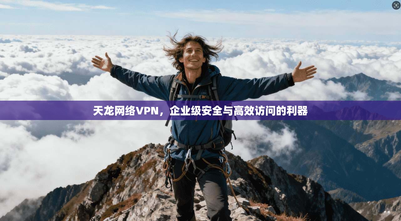 天龙网络VPN，企业级安全与高效访问的利器