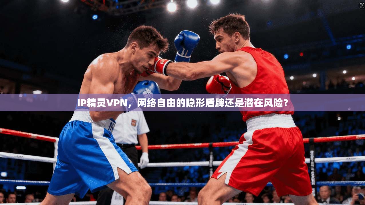 IP精灵VPN，网络自由的隐形盾牌还是潜在风险？