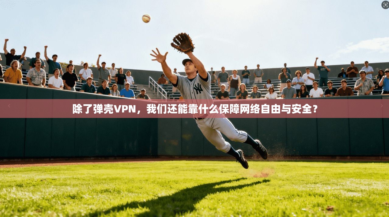 除了弹壳VPN，我们还能靠什么保障网络自由与安全？