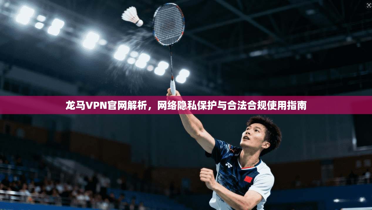 龙马VPN官网解析，网络隐私保护与合法合规使用指南