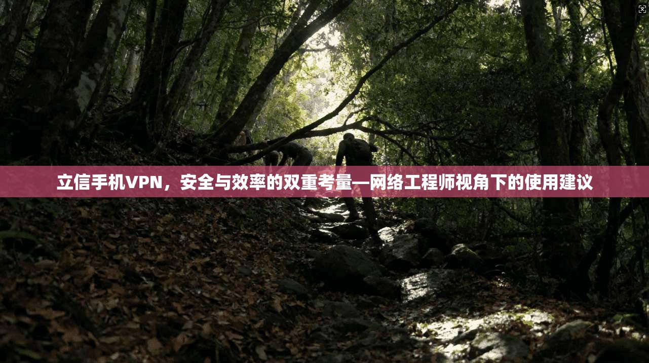 立信手机VPN，安全与效率的双重考量—网络工程师视角下的使用建议