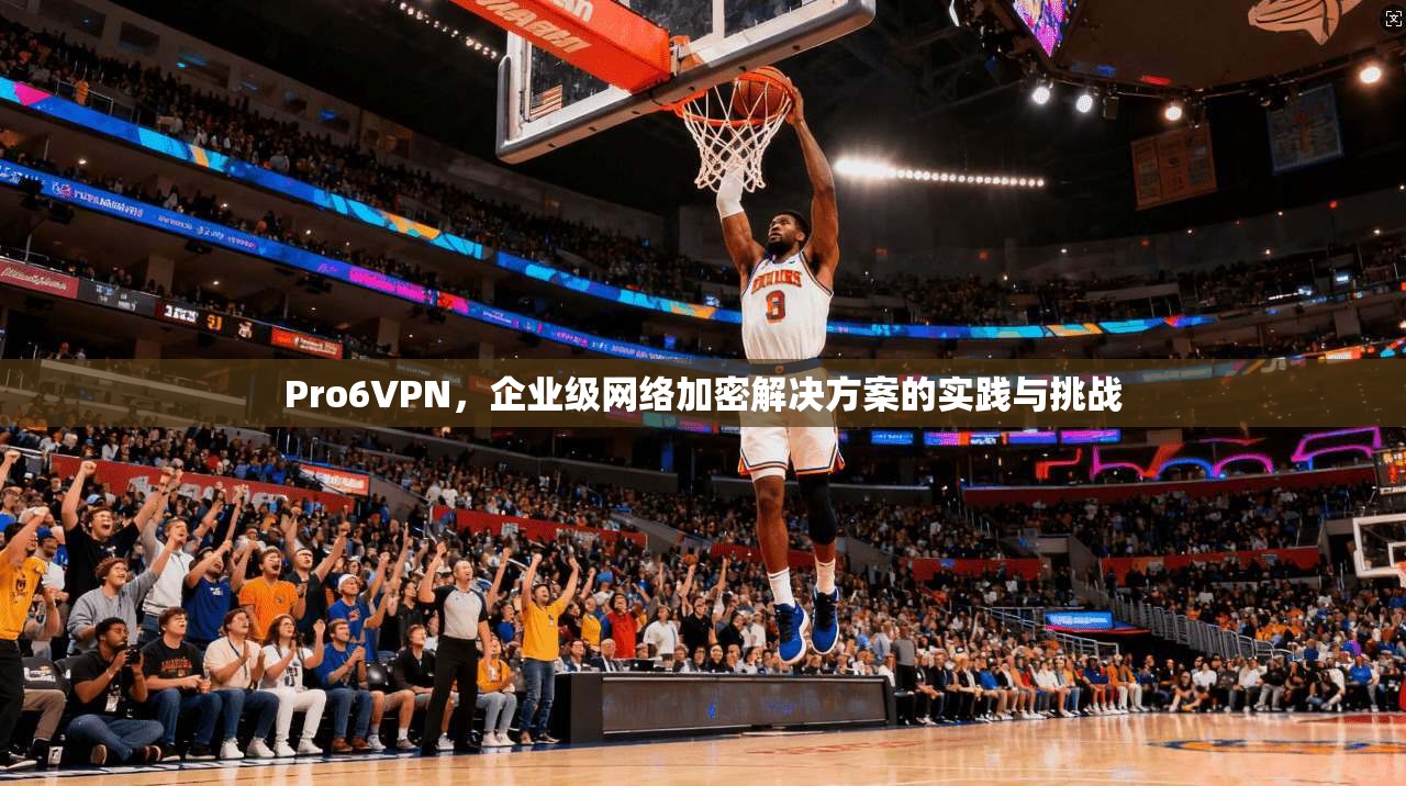 Pro6VPN，企业级网络加密解决方案的实践与挑战