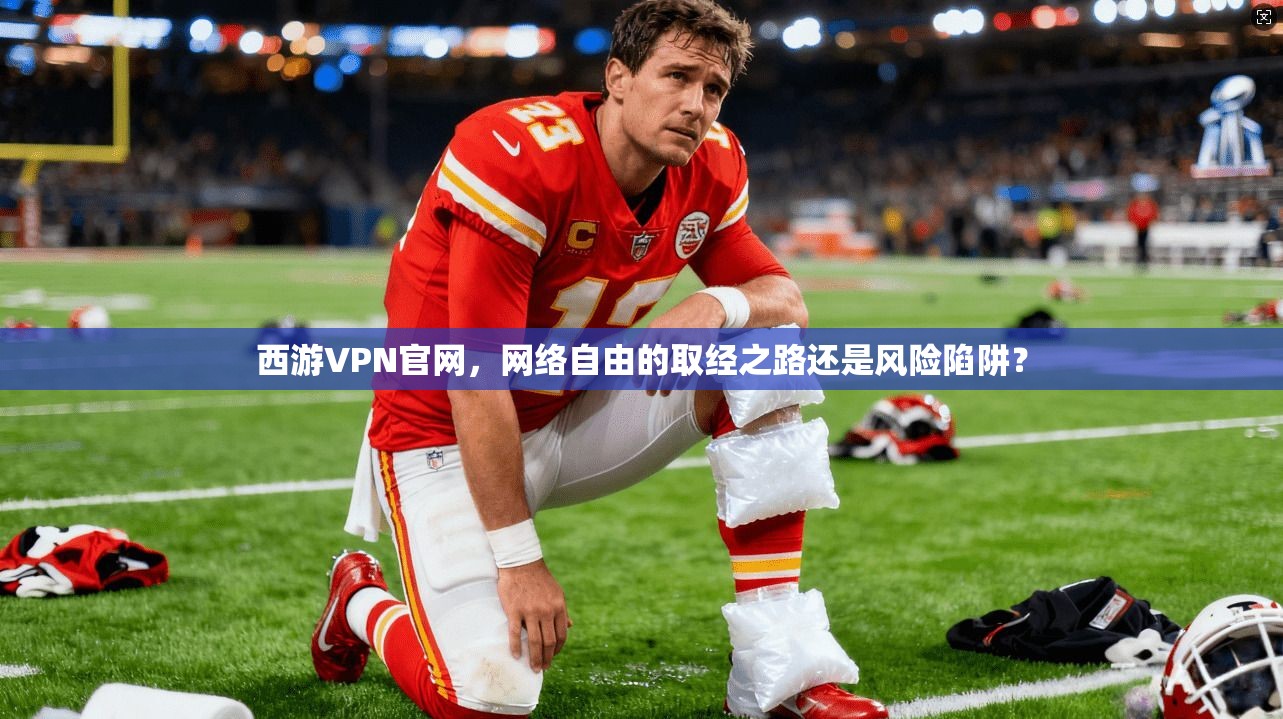 西游VPN官网，网络自由的取经之路还是风险陷阱？