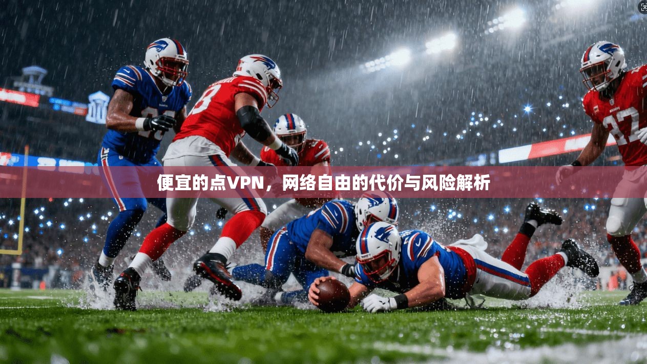 便宜的点VPN,网络自由的代价与风险解析 便宜的点VPN,网络自由的代价与风险解析