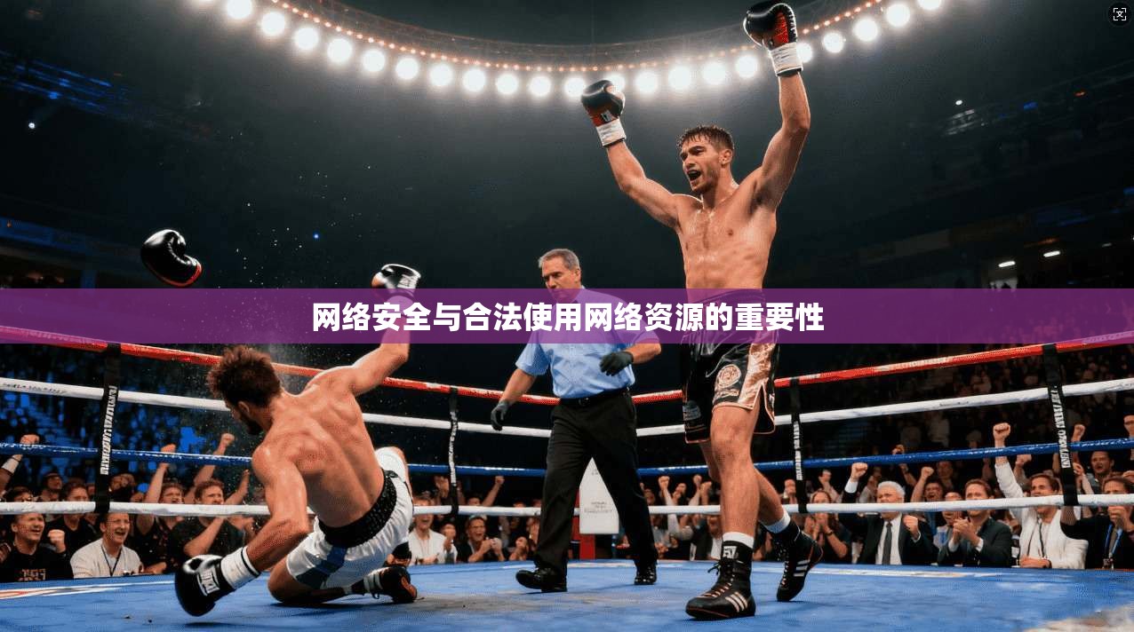 网络安全与合法使用网络资源的重要性