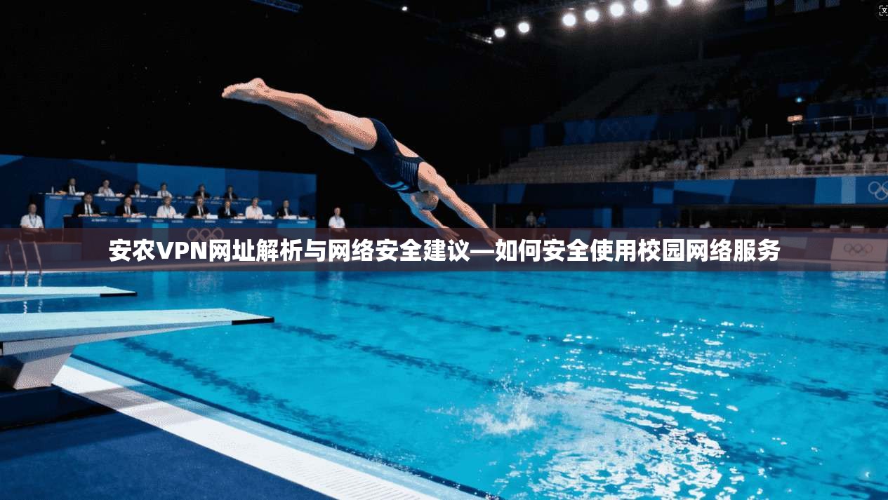 安农VPN网址解析与网络安全建议—如何安全使用校园网络服务
