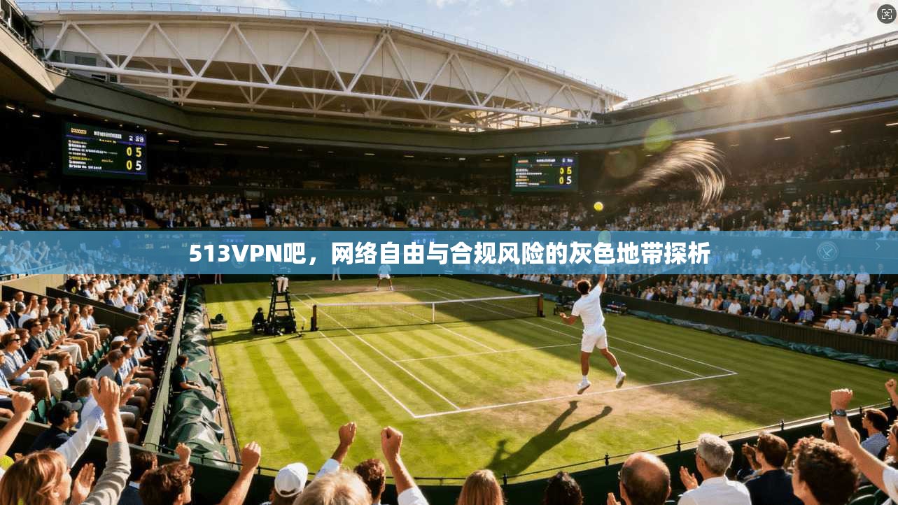 513VPN吧，网络自由与合规风险的灰色地带探析