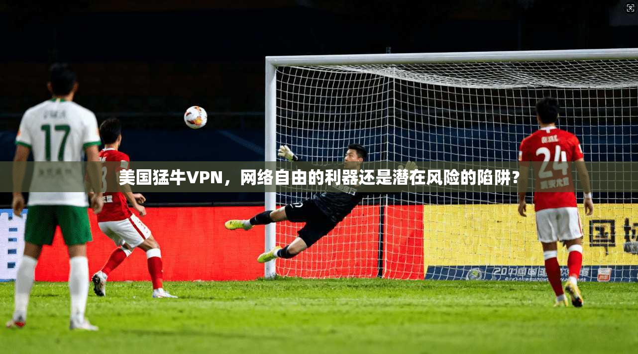 美国猛牛VPN,网络自由的利器还是潜在风险的陷阱? 美国猛牛VPN,网络自由的利器还是潜在风险的陷阱?