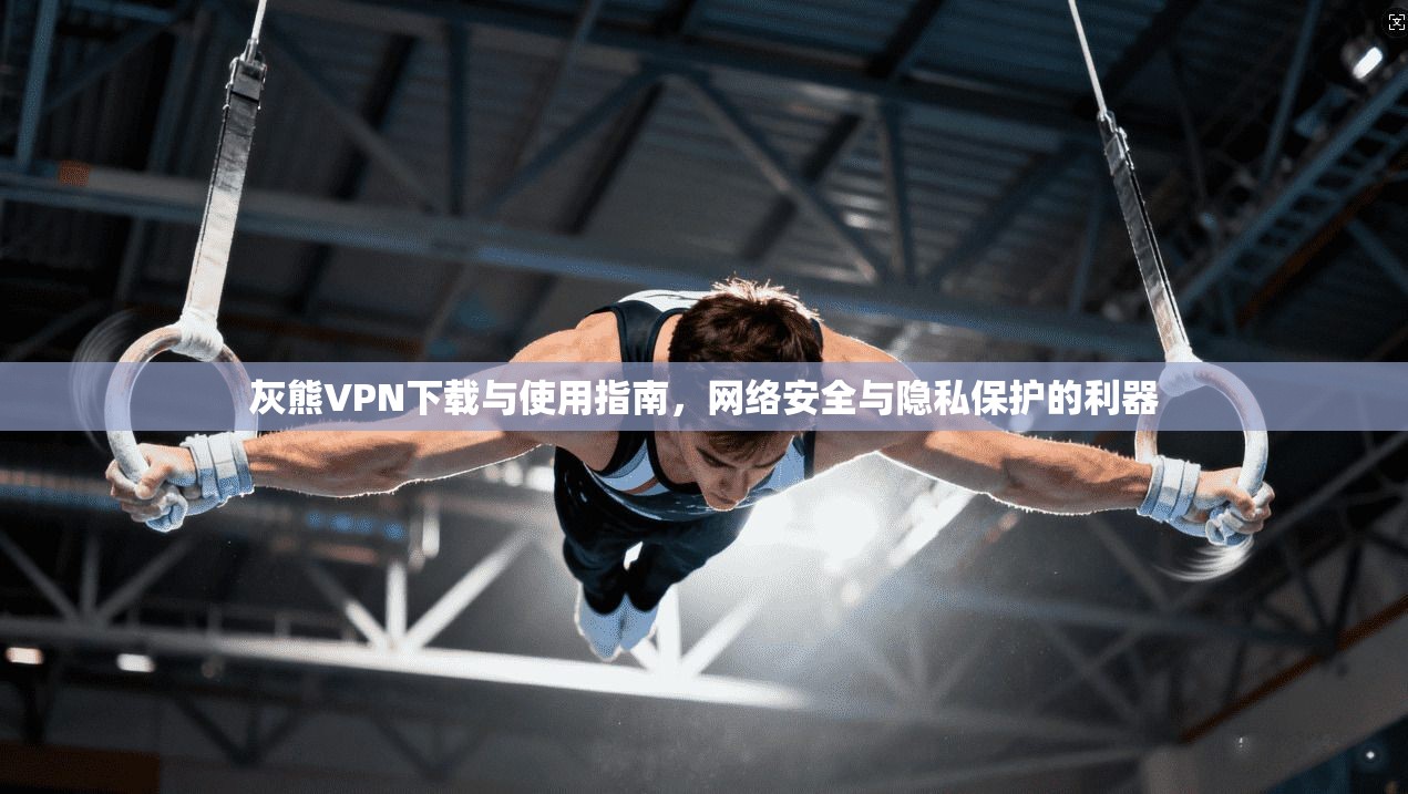 灰熊VPN下载与使用指南，网络安全与隐私保护的利器