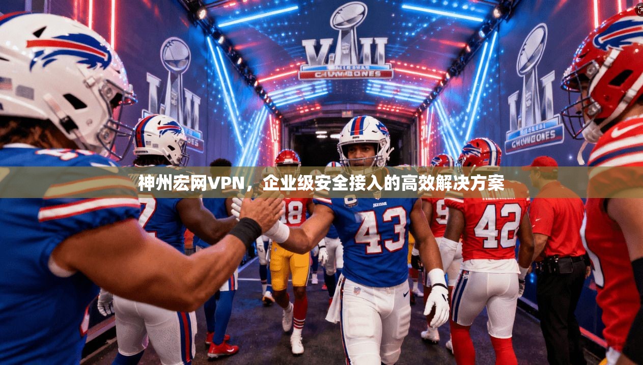 神州宏网VPN，企业级安全接入的高效解决方案