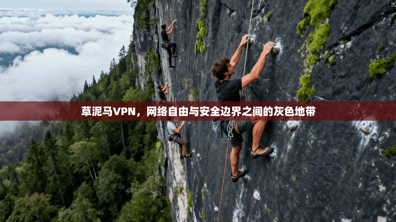 草泥马VPN，网络自由与安全边界之间的灰色地带