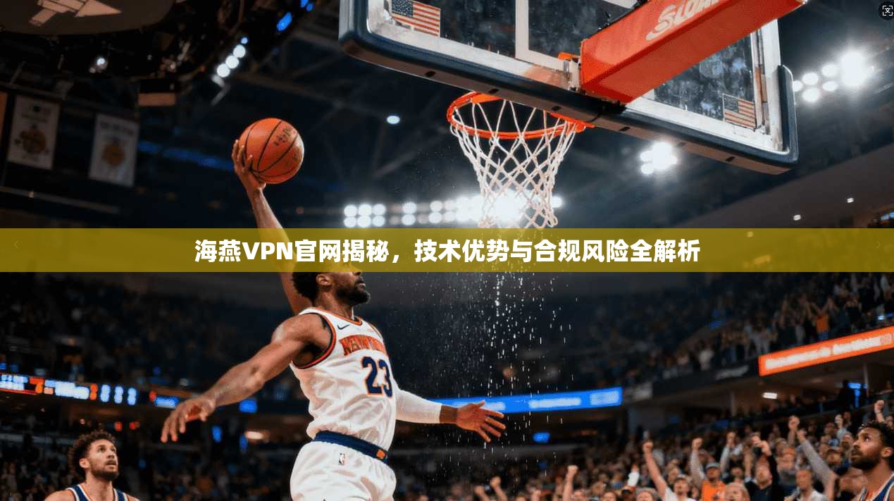 海燕VPN官网揭秘,技术优势与合规风险全解析 海燕VPN官网揭秘,技术优势与合规风险全解析