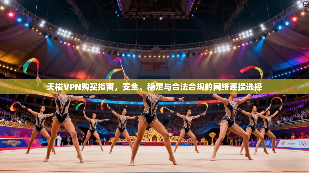 天梭VPN购买指南，安全、稳定与合法合规的网络连接选择