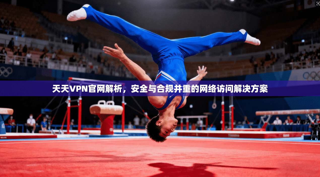 天天VPN官网解析，安全与合规并重的网络访问解决方案