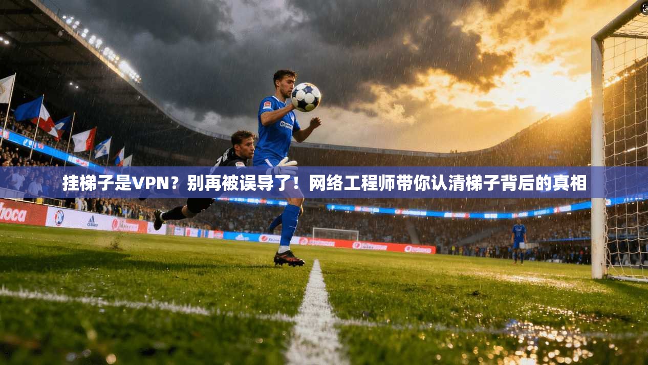 挂梯子是VPN？别再被误导了！网络工程师带你认清梯子背后的真相