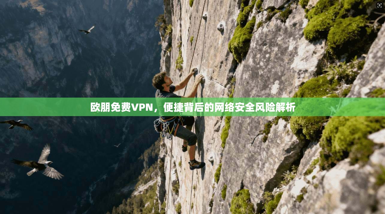 欧朋免费VPN,便捷背后的网络安全风险解析 欧朋免费VPN,便捷背后的网络安全风险解析