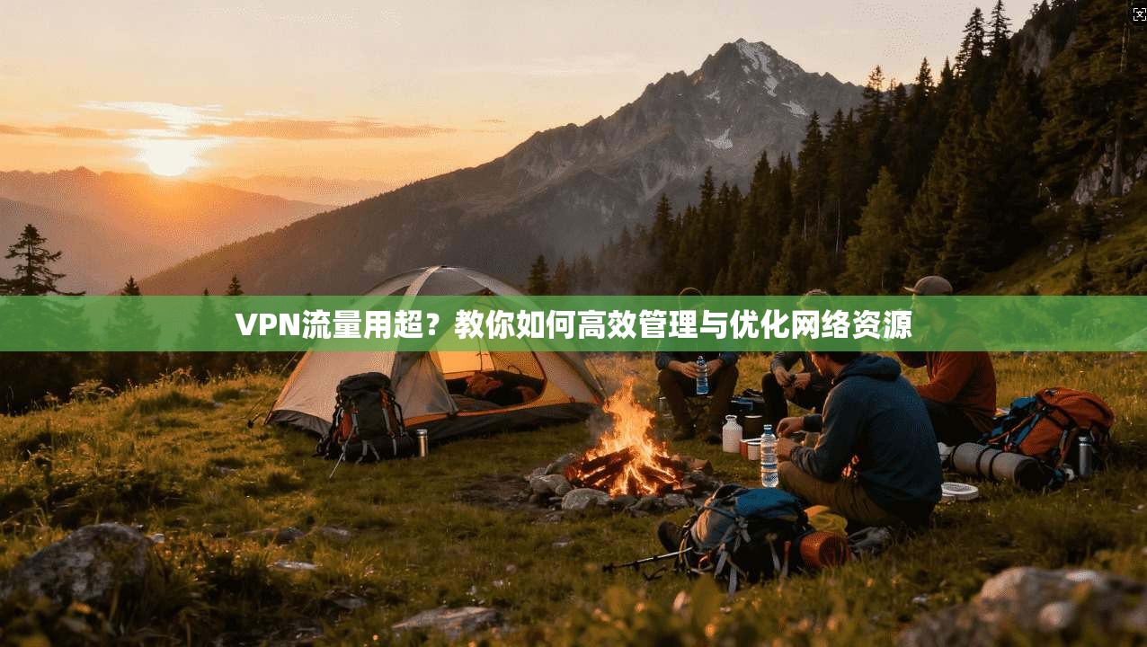 VPN流量用超？教你如何高效管理与优化网络资源