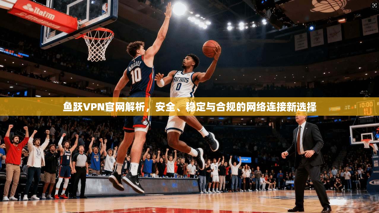 鱼跃VPN官网解析，安全、稳定与合规的网络连接新选择