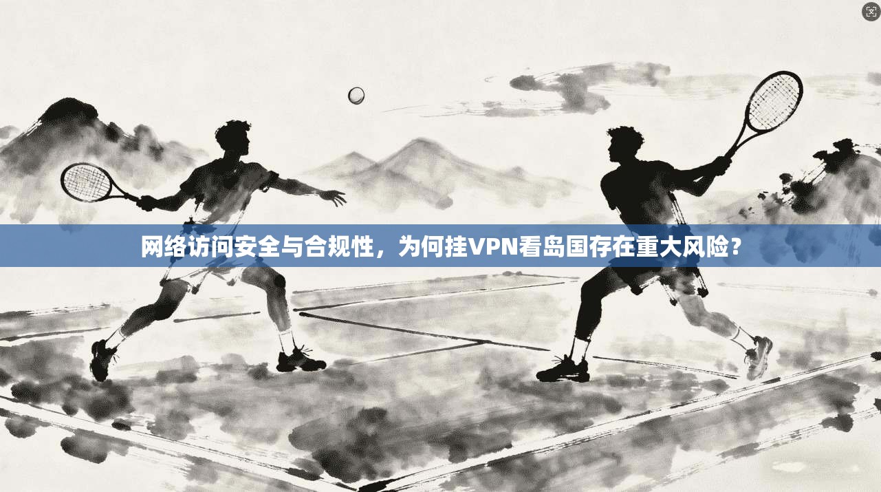 网络访问安全与合规性，为何挂VPN看岛国存在重大风险？