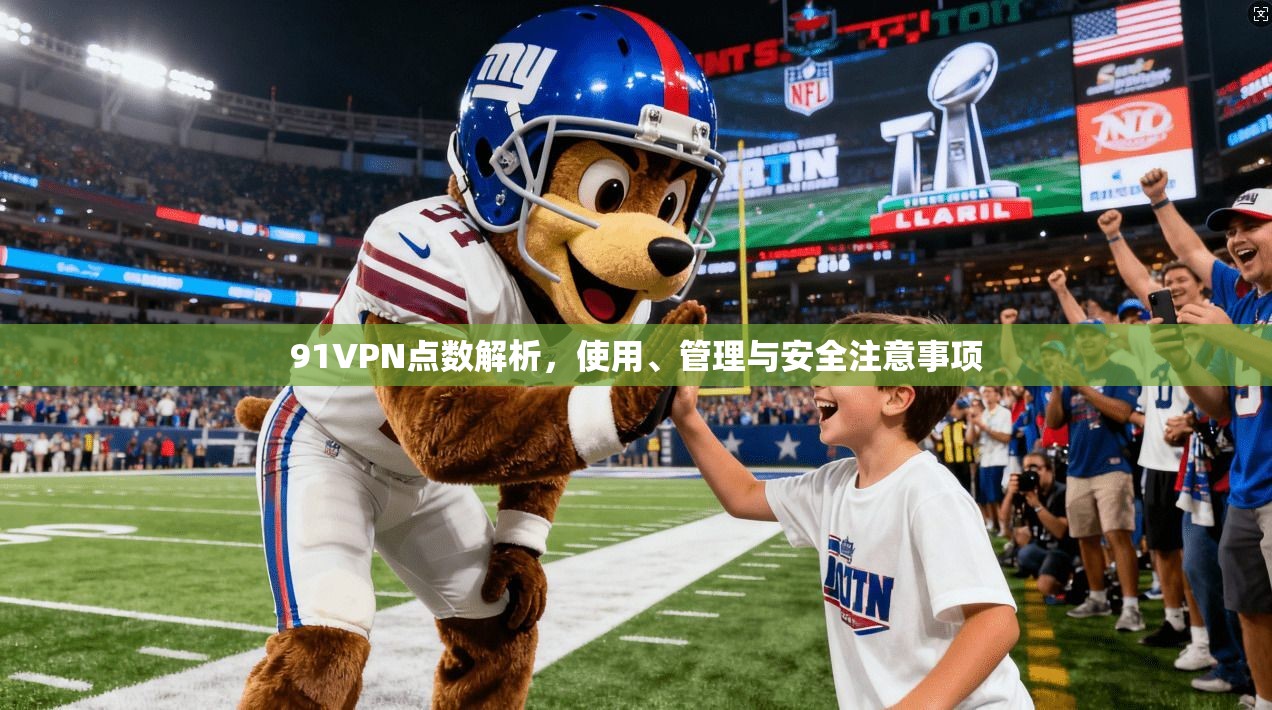 91VPN点数解析，使用、管理与安全注意事项