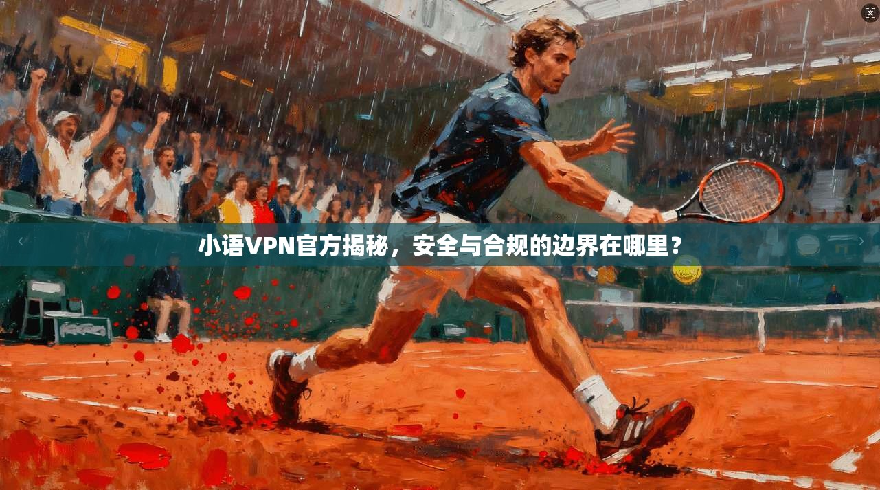 小语VPN官方揭秘，安全与合规的边界在哪里？