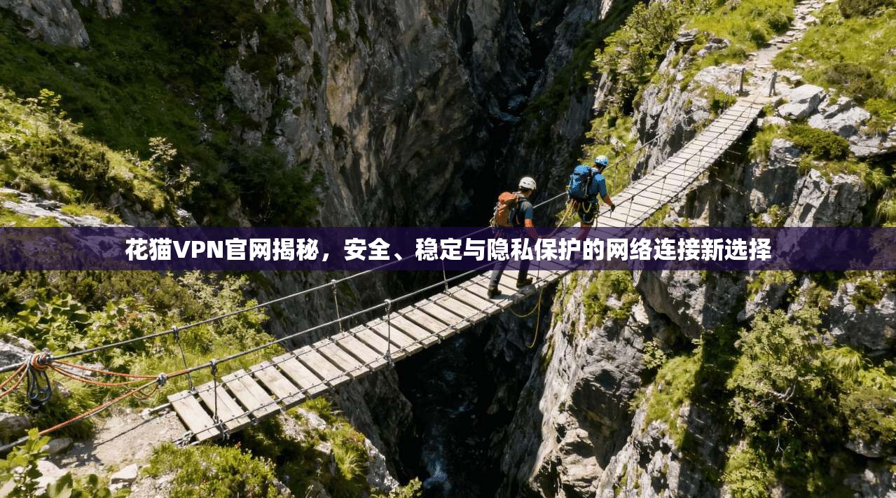 花猫VPN官网揭秘，安全、稳定与隐私保护的网络连接新选择