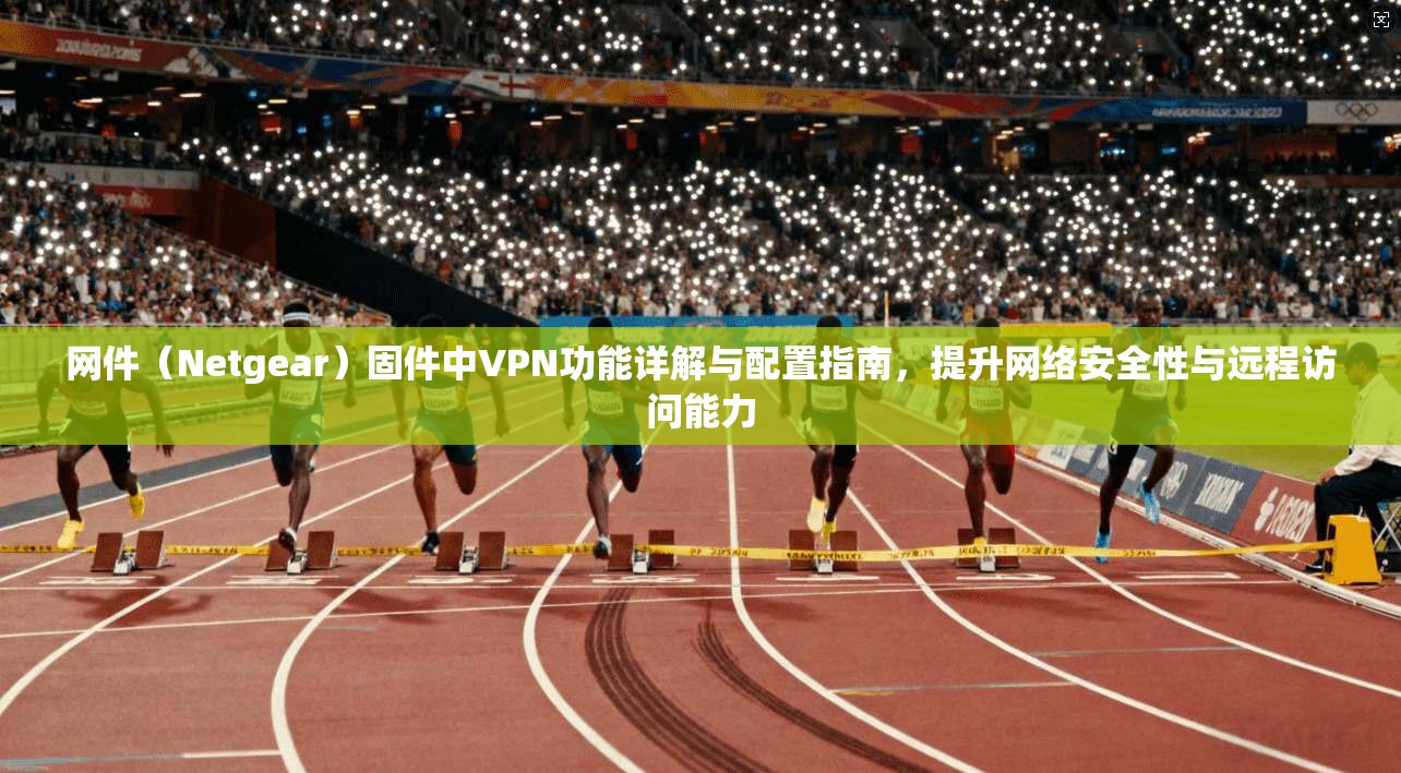 网件（Netgear）固件中VPN功能详解与配置指南，提升网络安全性与远程访问能力