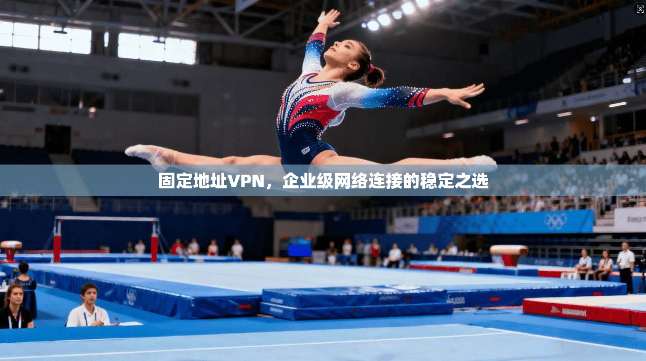固定地址VPN，企业级网络连接的稳定之选