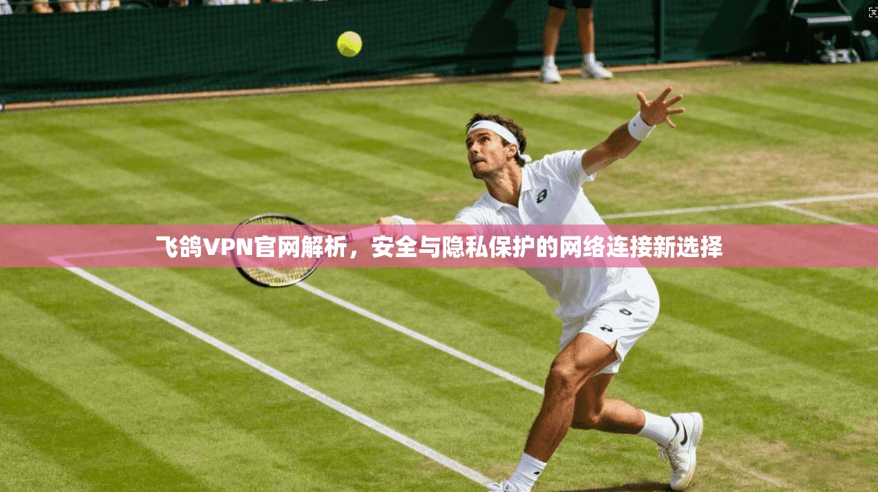 飞鸽VPN官网解析，安全与隐私保护的网络连接新选择