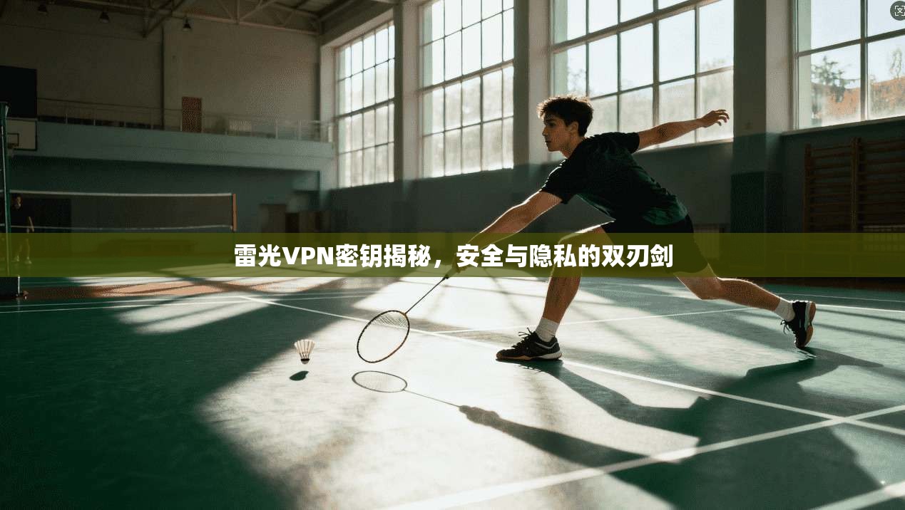 雷光VPN密钥揭秘，安全与隐私的双刃剑