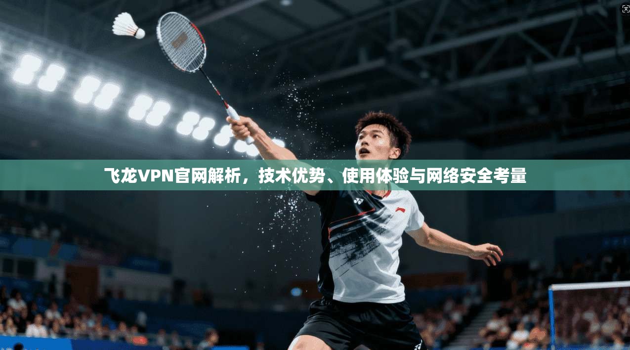 飞龙VPN官网解析，技术优势、使用体验与网络安全考量