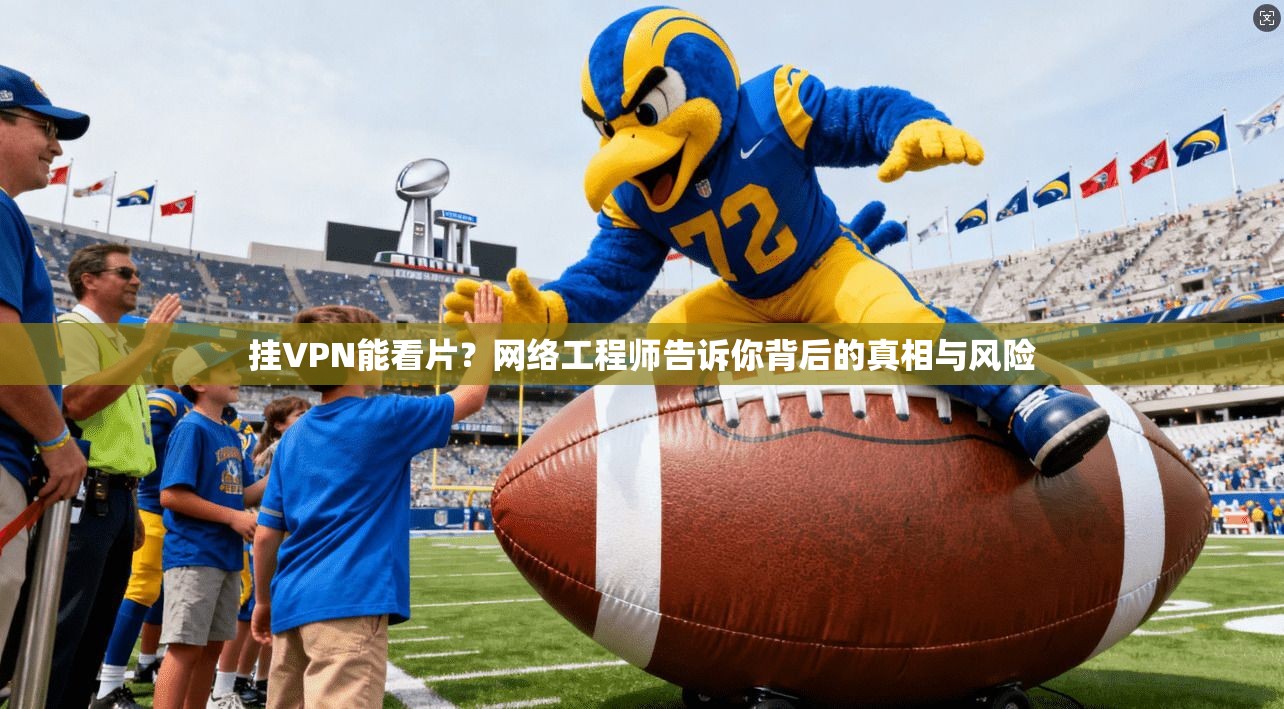 挂VPN能看片？网络工程师告诉你背后的真相与风险