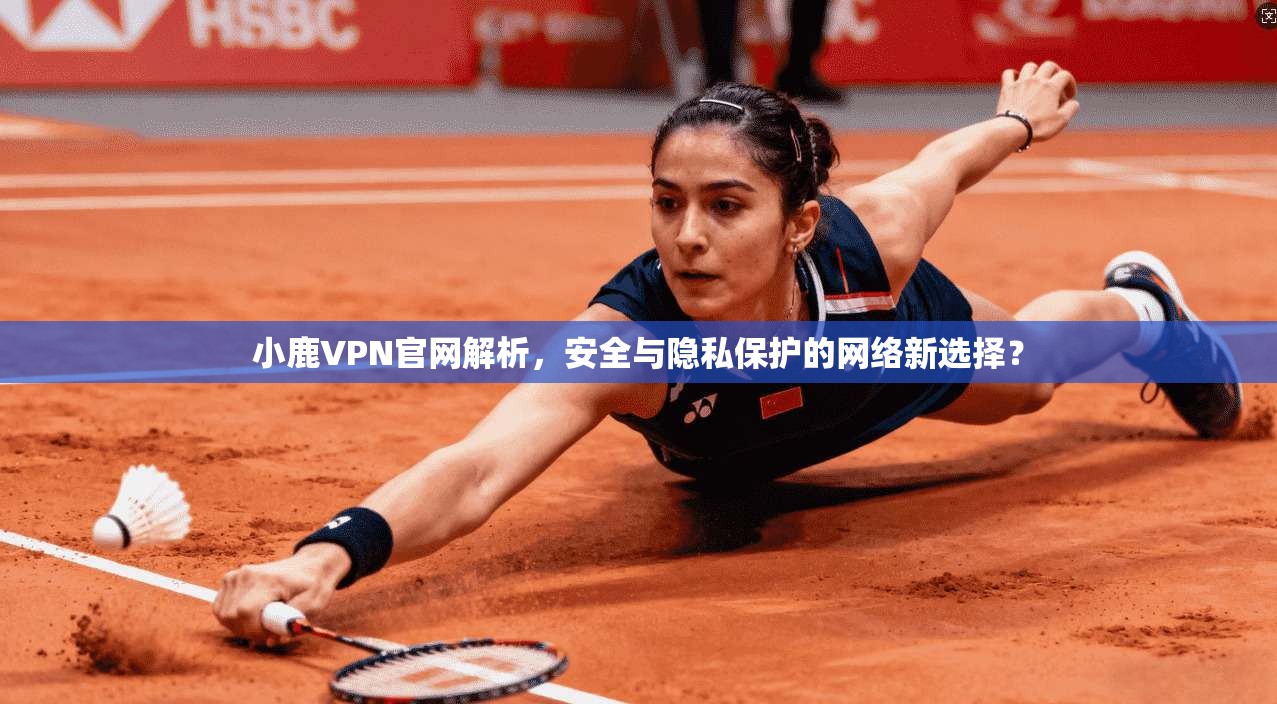 小鹿VPN官网解析，安全与隐私保护的网络新选择？