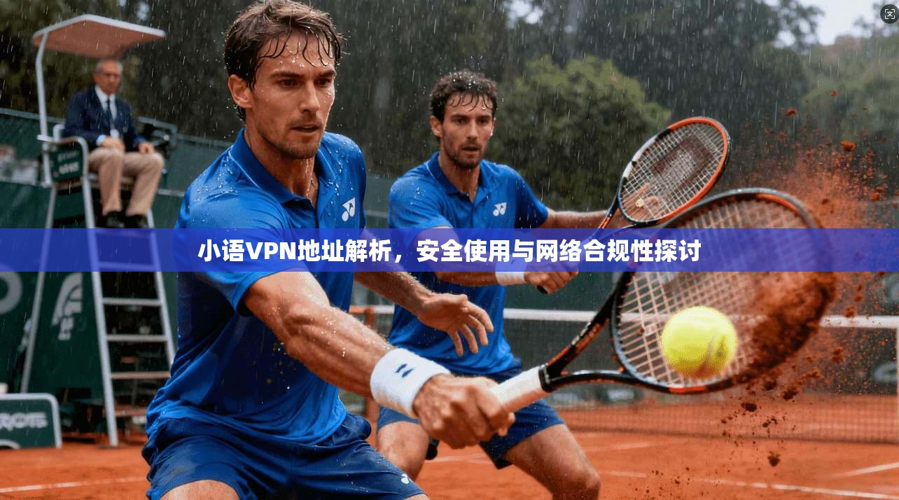 小语VPN地址解析，安全使用与网络合规性探讨